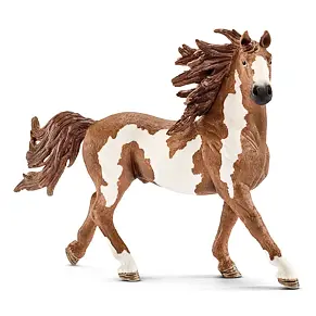 Pinto Stallion - Schleich 13794