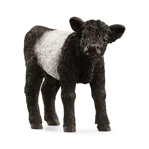 Galloway calf - Schleich 13969