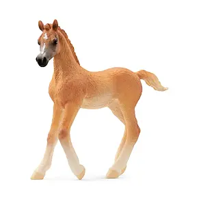 Arabian colt - Schleich 13984
