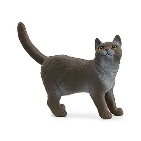 British Shorthair Cat - Schleich 13973