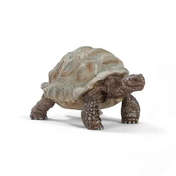 Giant Tortoise - Schleich 14824