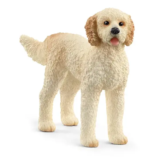 Dog Goldendoodle - Schleich 13939