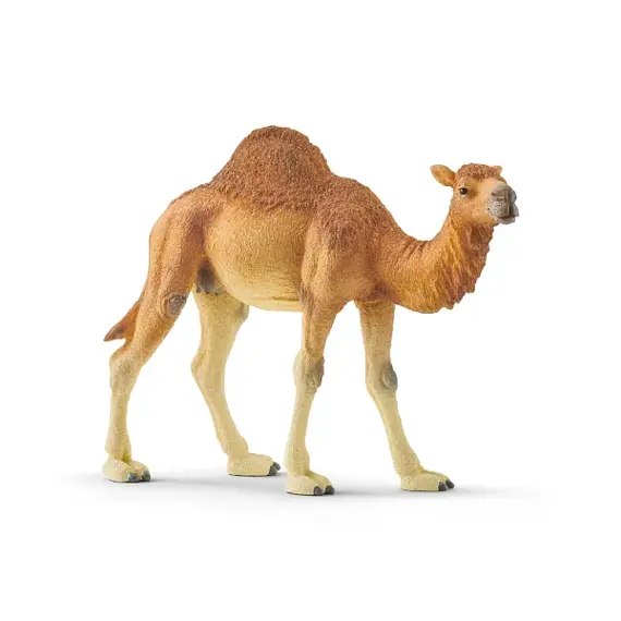 Dromedary - Schleich 14832