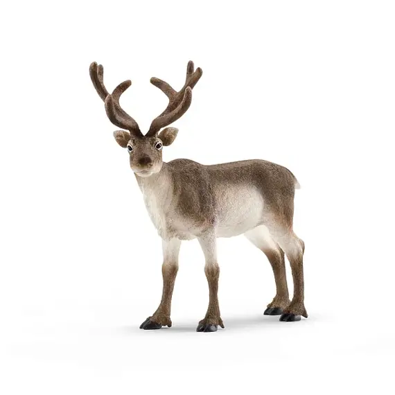 Reindeer - Schleich 14837