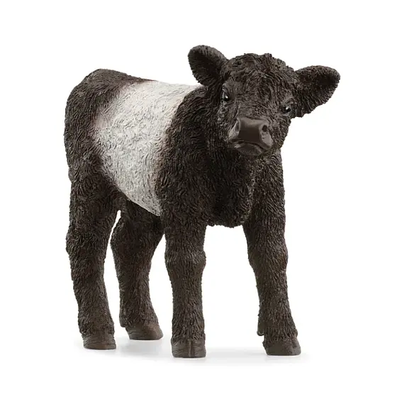 Galloway calf - Schleich 13969