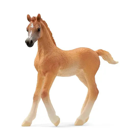Arabian colt - Schleich 13984